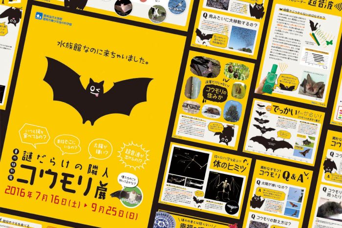 碧南海浜水族館 謎だらけの隣人コウモリ展 株式会社一心舎オフィシャルサイト 愛知県碧南市